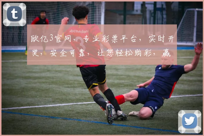 欧亿3官网，专业彩票平台，实时开奖，安全可靠，让您轻松购彩，赢取大奖，尽在欧亿3官网，快来体验