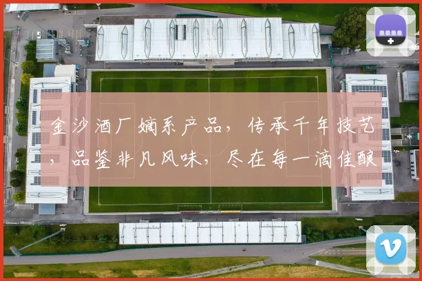 金沙酒厂嫡系产品，传承千年技艺，品鉴非凡风味，尽在每一滴佳酿中，三重品质保障，品味人生之美。