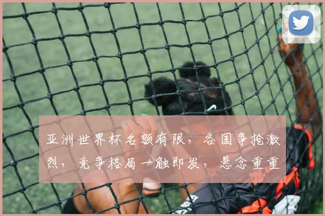 亚洲世界杯名额有限，各国争抢激烈，竞争格局一触即发，悬念重重