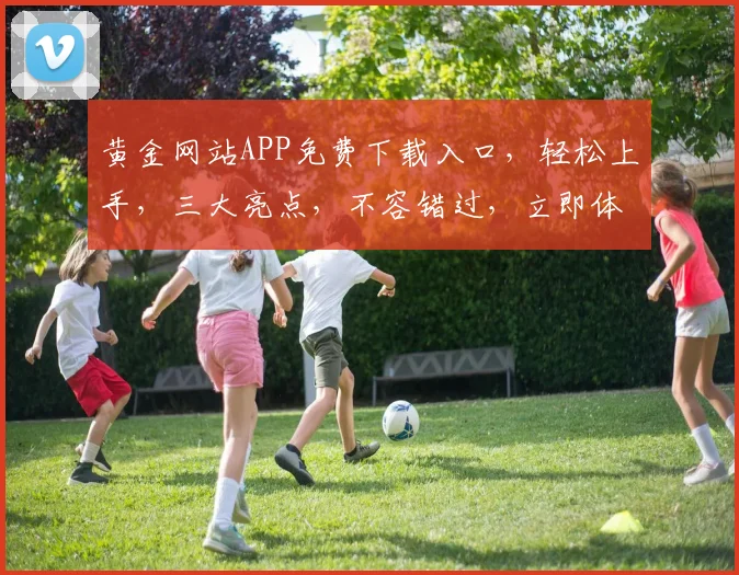 黄金网站APP免费下载入口，轻松上手，三大亮点，不容错过，立即体验